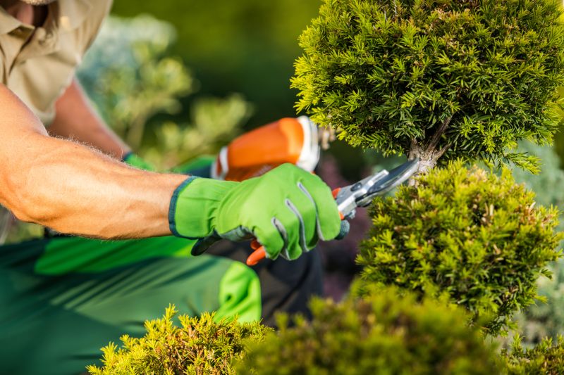 Garden and Yard Service Providers