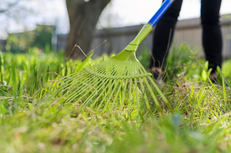 Spring Lawn Clean Up
