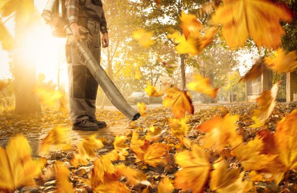 Leaf Blowing Service in Bozeman