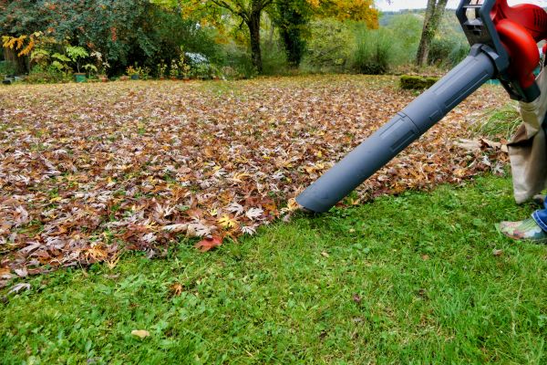 Leaf Vacuuming Service in Bozeman