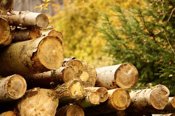 Wood Pile Removal in Bozeman
