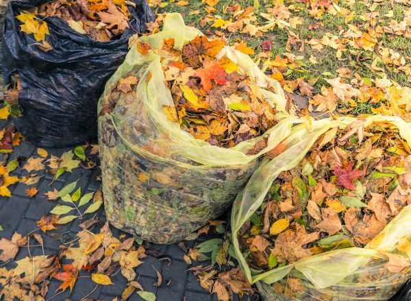 Yard Cleanup Service in Bozeman