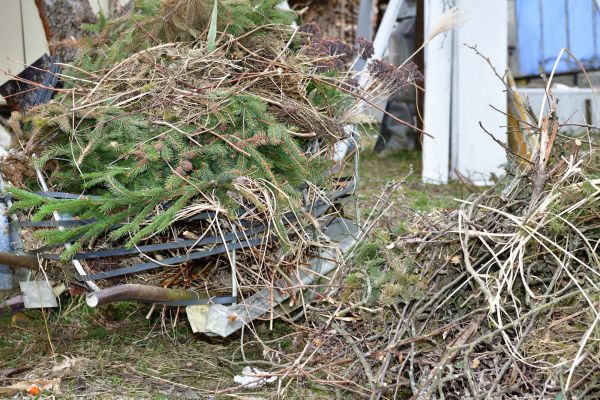 Yard Debris Removal in Bozeman