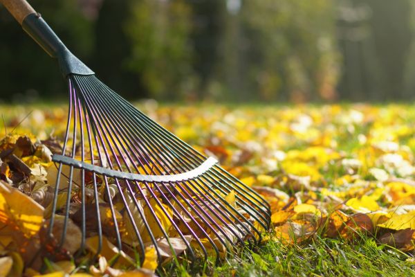 Leaf Raking Service in Bozeman