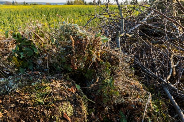 Brush Disposal in Bozeman