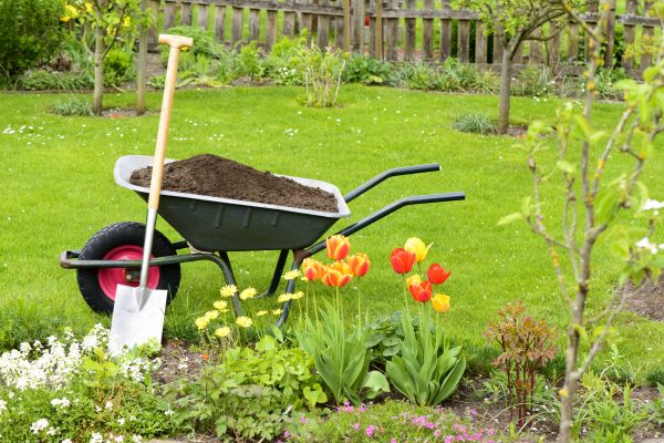 Cost of Spring Yard Cleanup in Bozeman