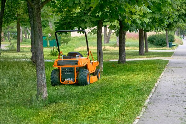Landscaping Cleanup Service in Bozeman