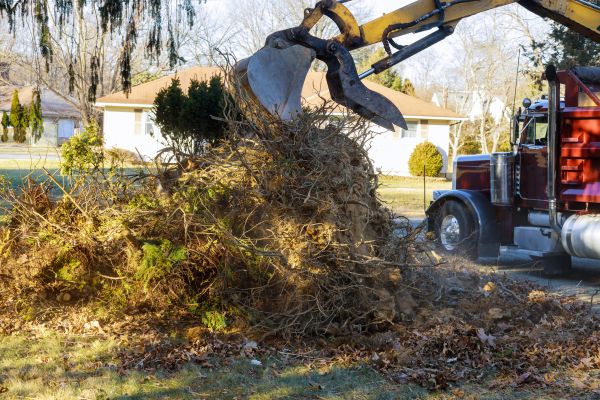 Storm Debris Removal in Bozeman