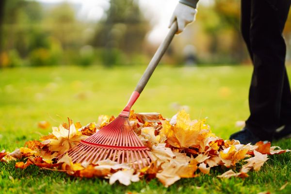 Cost of Ditch Leaf Removal in Bozeman