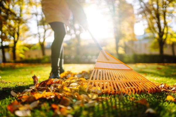 Leaves Raking in Bozeman