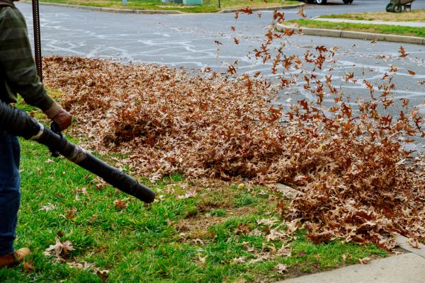 Cost of Garden Leaf Removal in Bozeman