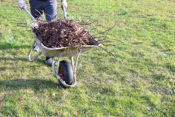 Yard Brush Removal in Bozeman