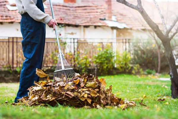 Spring Lawn Cleanup in Bozeman