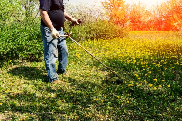Cost of Yard Clearing Service in Bozeman