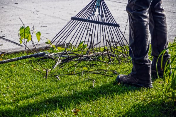 Yard Debris Cleanup in Bozeman