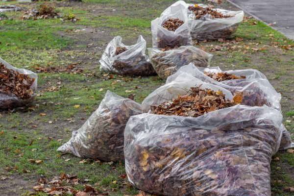 Cost of Leaf Pile Disposal in Bozeman