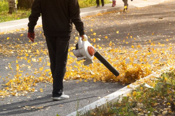 Commercial Leaf Removal in Bozeman